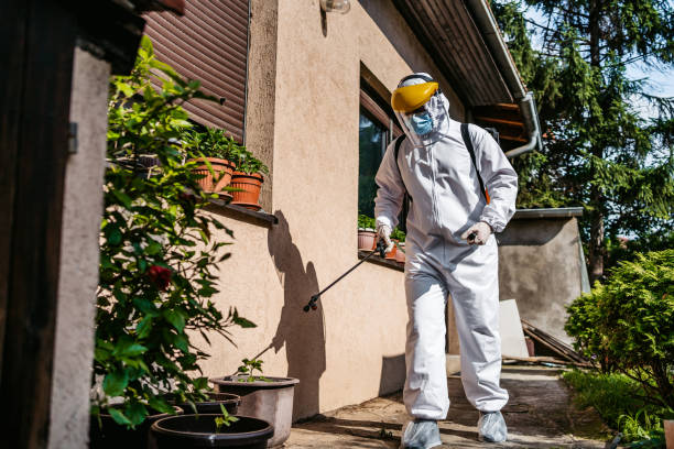 Best Local Pest Control Services  in Oakville, MO