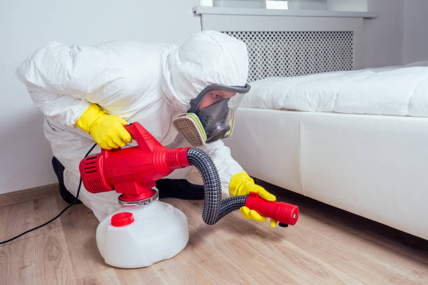 Best Affordable Pest Control Services  in Oakville, MO