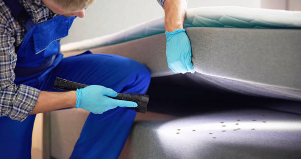 Best Wasp Removal Services  in Oakville, MO