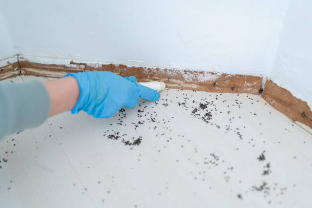 Pest Control for Restaurants in Oakville, MO